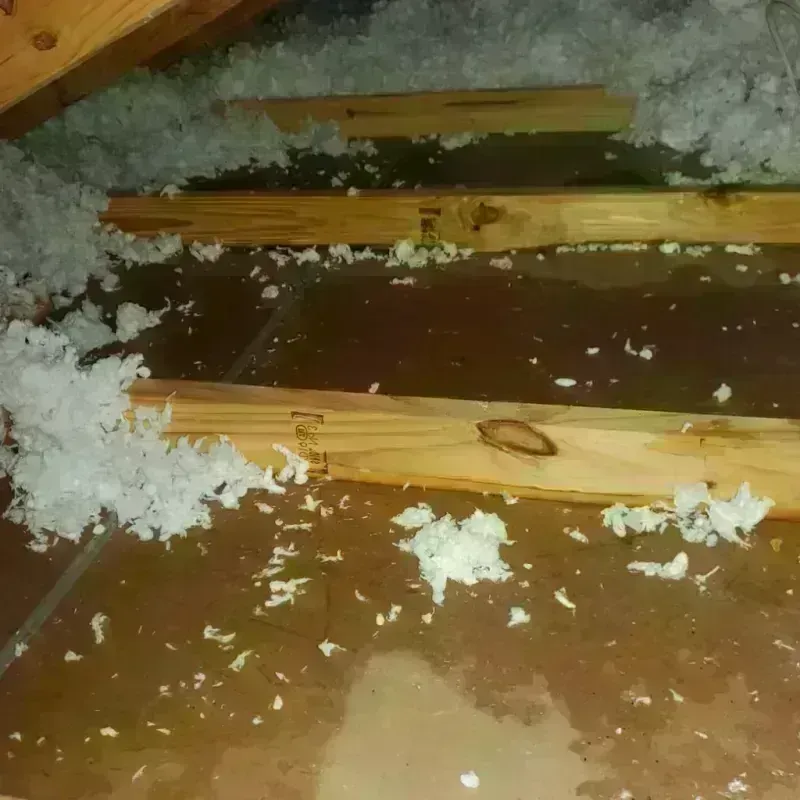 Attic Water Damage in McKinley County, NM